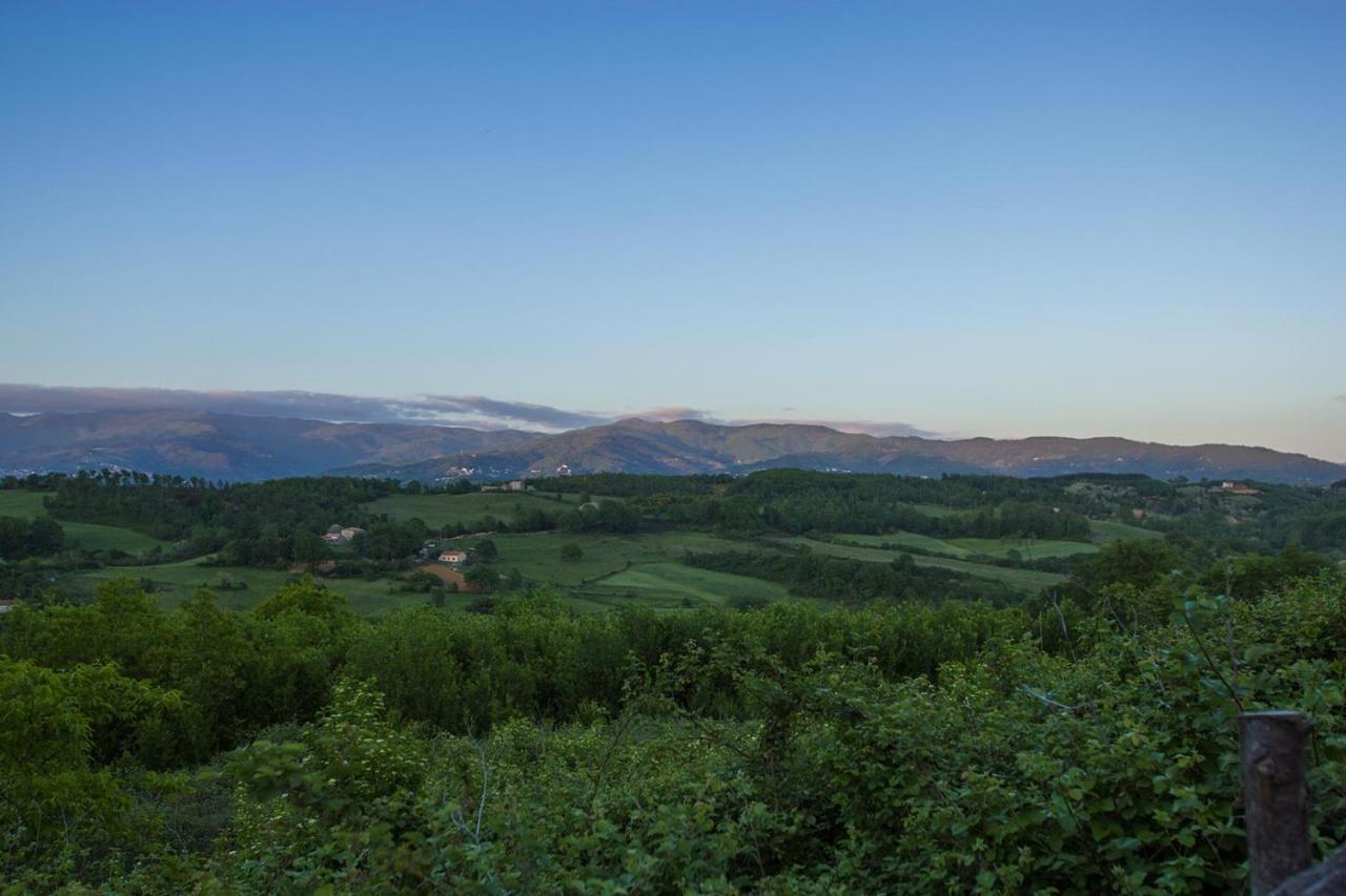 Agriturismo Borgo Serafino 만고네 외부 사진