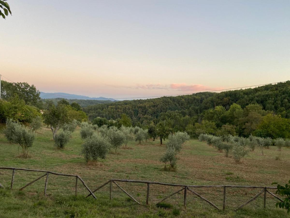 Agriturismo Borgo Serafino 만고네 외부 사진